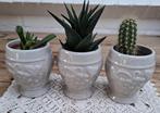 3 Beboterde bekers, druiven reliëf, leuk als bloempotjes, Ophalen of Verzenden