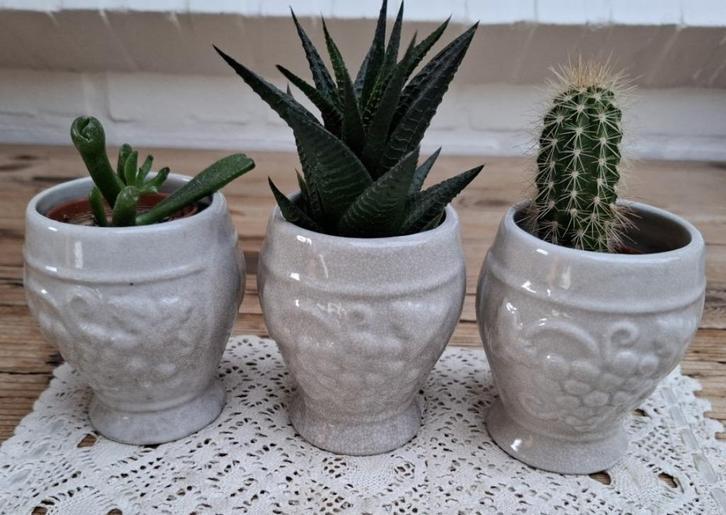 3 Beboterde bekers, druiven reliëf, leuk als bloempotjes, Antiek en Kunst, Curiosa en Brocante, Ophalen of Verzenden