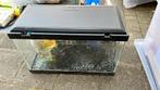Aquarium 20l + accesoires, Ophalen, Gebruikt