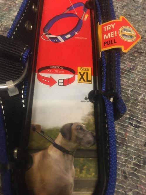 Halsband met geïntegreerde korte lijn XL merk Patento Pet, Dieren en Toebehoren, Hondenhalsbanden en Penningen, Ophalen of Verzenden