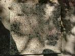 Silex stenen, Tuin en Terras, Ophalen, Gebruikt, Terrastegels