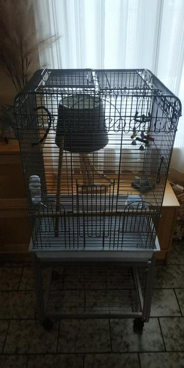 Grande cage pour perroquet où perruche 