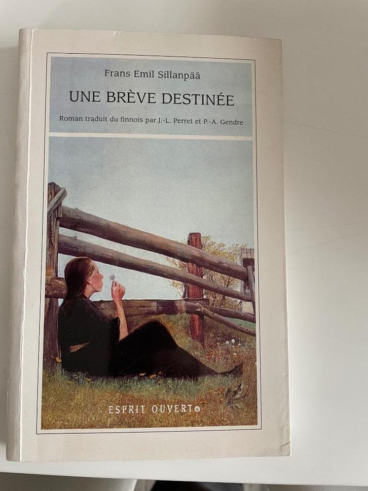 boeken   Frans Engels en andere, Livres, Romans, Enlèvement ou Envoi