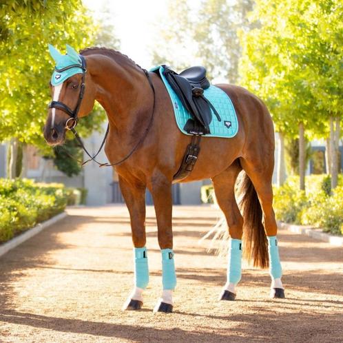 LeMieux Loire Azure dressuur dekje GRATIS VERZENDING, Dieren en Toebehoren, Paarden en Pony's | Dekens en Dekjes, Nieuw, Dekje