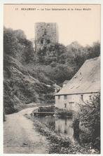 Beaumont La Tour Salamandre et le Vieux Moulin, Verzenden, Ongelopen, Henegouwen