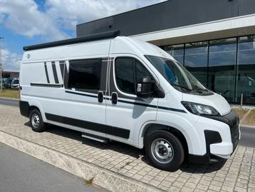Carado Hymer CV 600 NEUF, Entreprise, 5 à 6 mètres, Diesel, Jusqu'à 3