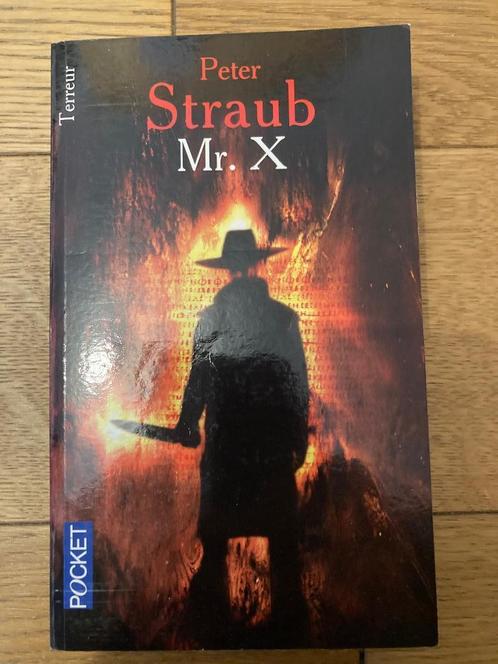 Mr. X  de Peter Straub, Boeken, Fantasy, Zo goed als nieuw, Ophalen of Verzenden