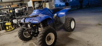 Polaris quad 330cc, Motoren, 1 cilinder, 330 cc