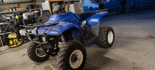 Polaris quad 330cc, Motoren, Quads en Trikes, 1 cilinder, Ophalen