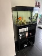 Aquarium, Dieren en Toebehoren, Ophalen, Zo goed als nieuw