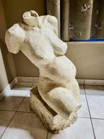 Torse de femme enceinte, Enlèvement, Utilisé, Humain