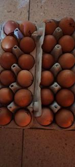 Verse eieren, Diversen, Levensmiddelen, Ophalen