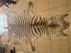Jaren 40 ,  groot zebra vel ! Op de sablon 3500 e prijs, Ophalen
