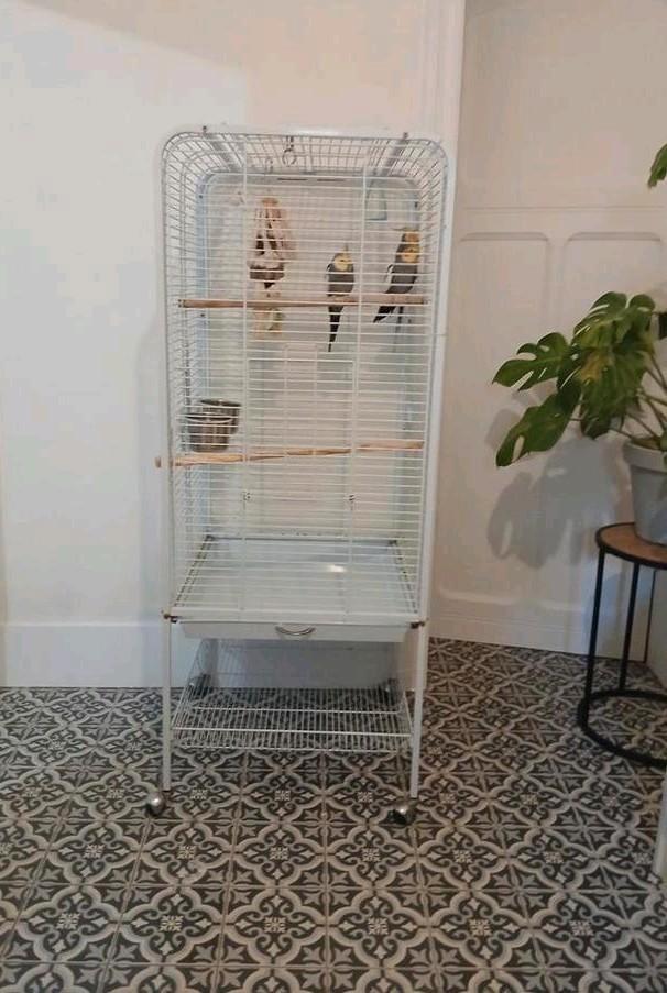 Cage à oiseaux. Métal blanc Barres horizontales. Avec bâton, Animaux & Accessoires, Oiseaux | Cages & Volières, Comme neuf, Cage à oiseaux