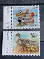 Postzegels ijsland   Vogels, Postzegels en Munten, Ophalen of Verzenden, IJsland, Postfris