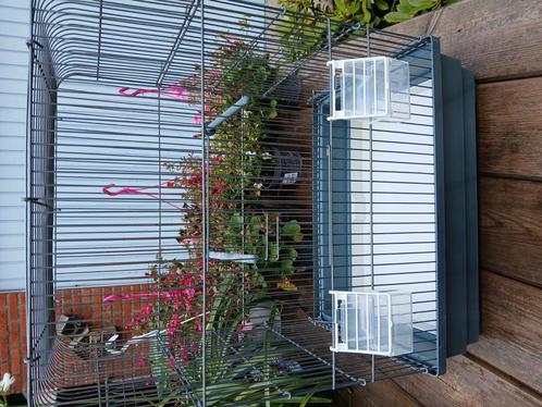 Vogelkooi, Dieren en Toebehoren, Vogels | Hokken en Kooien, Zo goed als nieuw, Vogelkooi, Ophalen of Verzenden