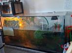 Aquarium en schildpadden