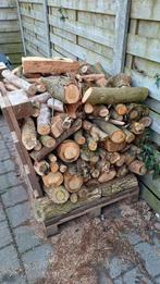 Brandhout droge eik, Jardin & Terrasse, Bois de chauffage, Enlèvement ou Envoi