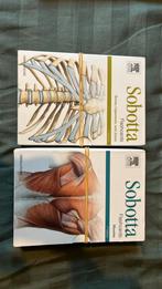 Flashcards anatomie, Ophalen of Verzenden, Zo goed als nieuw