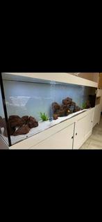 Aquarium monobloc 2m, Comme neuf