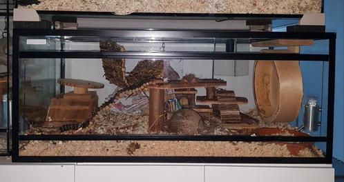 Hamsterkooi, gerbilarium, terrarium, Dieren en Toebehoren, Knaagdieren en Konijnen | Hokken en Kooien, Zo goed als nieuw, Hamster