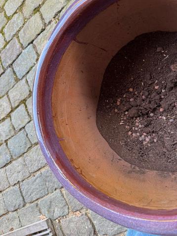 Grote mooie bloempot, Enlèvement, Comme neuf, Poterie