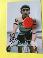 wielerfoto team peugeot eddy merckx, Verzenden, Zo goed als nieuw