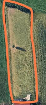 Weide te huur/ stalling te huur, Stalling