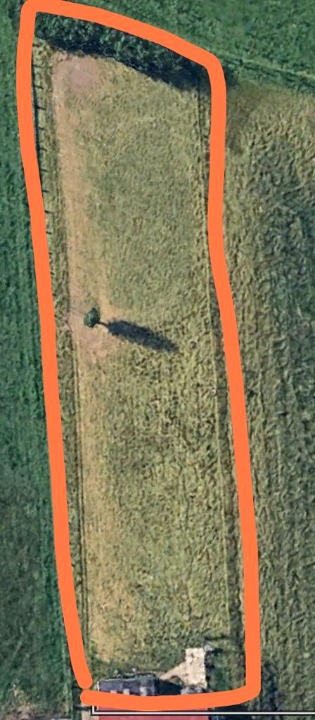 Weide te huur/ stalling te huur, Dieren en Toebehoren, Stalling en Weidegang, Stalling