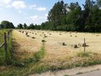 Kleine balen hooi, Dieren en Toebehoren, Stalling en Weidegang