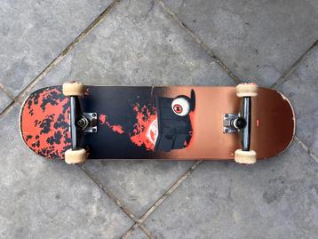 Skateboard Globe 8.25”, Enlèvement, Utilisé, Skateboard