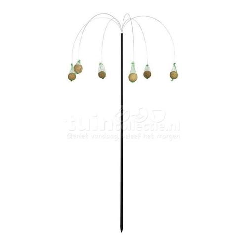 Palmboom voor decoratie of vogelvoeding  (zie foto's & omsch, Tuin en Terras, Tuinstekers, Nieuw, Ophalen