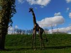 Giraffe Malaika - 290 cm - Handgemaakt en Uniek, Tuin en Terras, Tuinbeelden, Ophalen of Verzenden, Metaal, Dierenbeeld