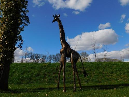 Giraffe Malaika - 290 cm - Handgemaakt en Uniek, Tuin en Terras, Tuinbeelden, Dierenbeeld, Metaal, Ophalen of Verzenden