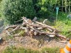 Brandhout zelf te verzagen, Tuin en Terras, Brandhout, Ophalen