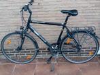 Herenfiets Pegasus Piazza framemaat 61, Gebruikt, Versnellingen, 61 tot 65 cm, Ophalen