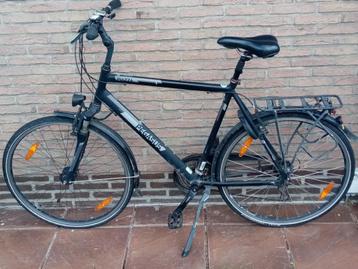 Herenfiets Pegasus Piazza framemaat 61 beschikbaar voor biedingen