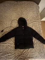 Winterjas van tommy hifliger, Kleding | Heren, Jassen | Winter, Maat 52/54 (L), Blauw, Ophalen of Verzenden, Zo goed als nieuw