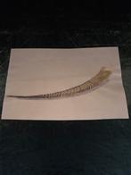 Joli dessin, Antiquités & Art, Enlèvement ou Envoi