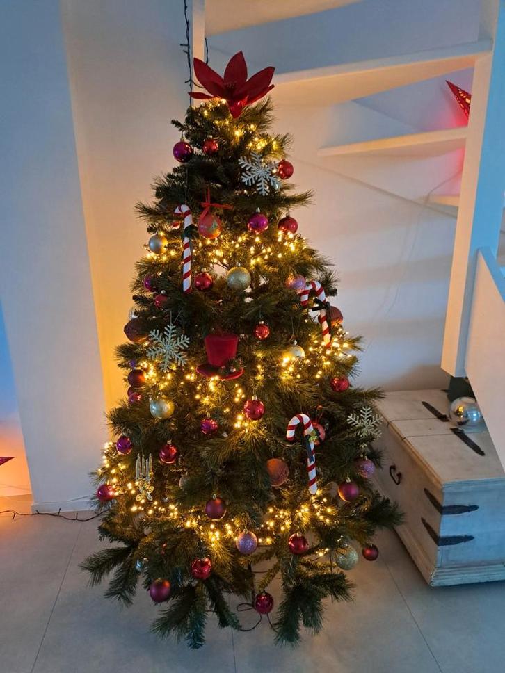 Sapin de Noël illuminé., Divers, Noël, Enlèvement ou Envoi
