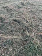 Kleine balen hooi, Zakelijke goederen, Landbouw | Veevoer, Ophalen