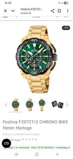 Festina heren horloge NIEUW!, Zakhorloge, Staal, Nieuw, Goud