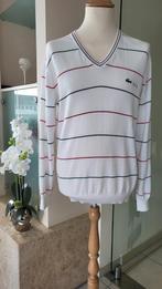 LACOSTE herentrui, Ophalen of Verzenden, Zo goed als nieuw, Maat 46/48 (XL) of groter