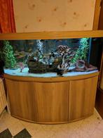 Juwel vision 450, Dieren en Toebehoren, Ophalen, Zo goed als nieuw