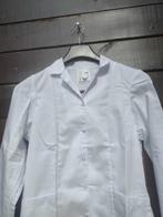 zorgjas maat Large / medium nieuw, Diversen, Verzenden, Nieuw