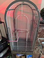 Petit prix Cage perroquet, Ophalen, Gebruikt, Metaal, Vogelkooi