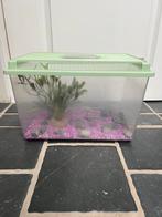Aquarium, Dieren en Toebehoren, Ophalen of Verzenden, Zo goed als nieuw