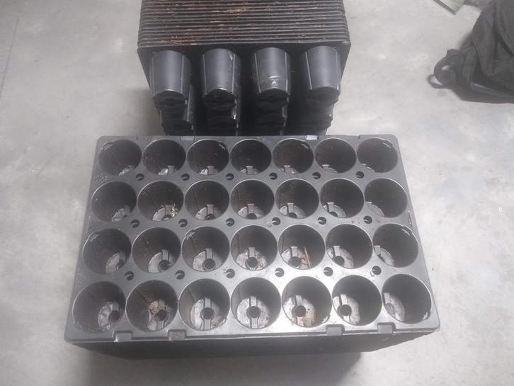 planten schalen - stek trays, Tuin en Terras, Planten | Tuinplanten, Ophalen of Verzenden