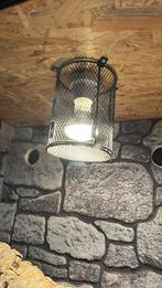 Terrarium osb3, Enlèvement, Comme neuf, Terrarium ou Paludarium