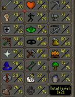 [OSRS] Deadman mode account + Main, Games en Spelcomputers, Ophalen of Verzenden